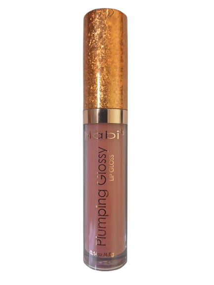 PLG36R - 36 PCS PLUMPING GLOSSY LIP GLOSS SET R